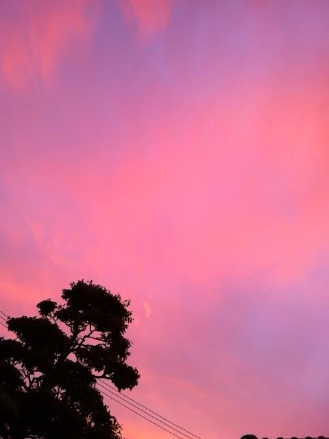 Twitter Users Capture Twilight As Tokai Sky Turns Pink - japanCRUSH