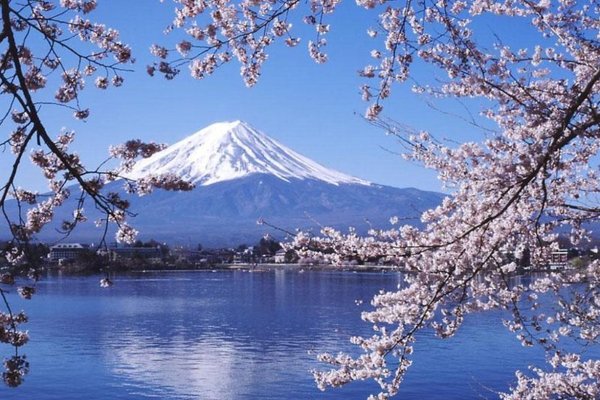 Mount Fuji Becomes UNESCO World Cultural Treasure, Reactions - japanCRUSH